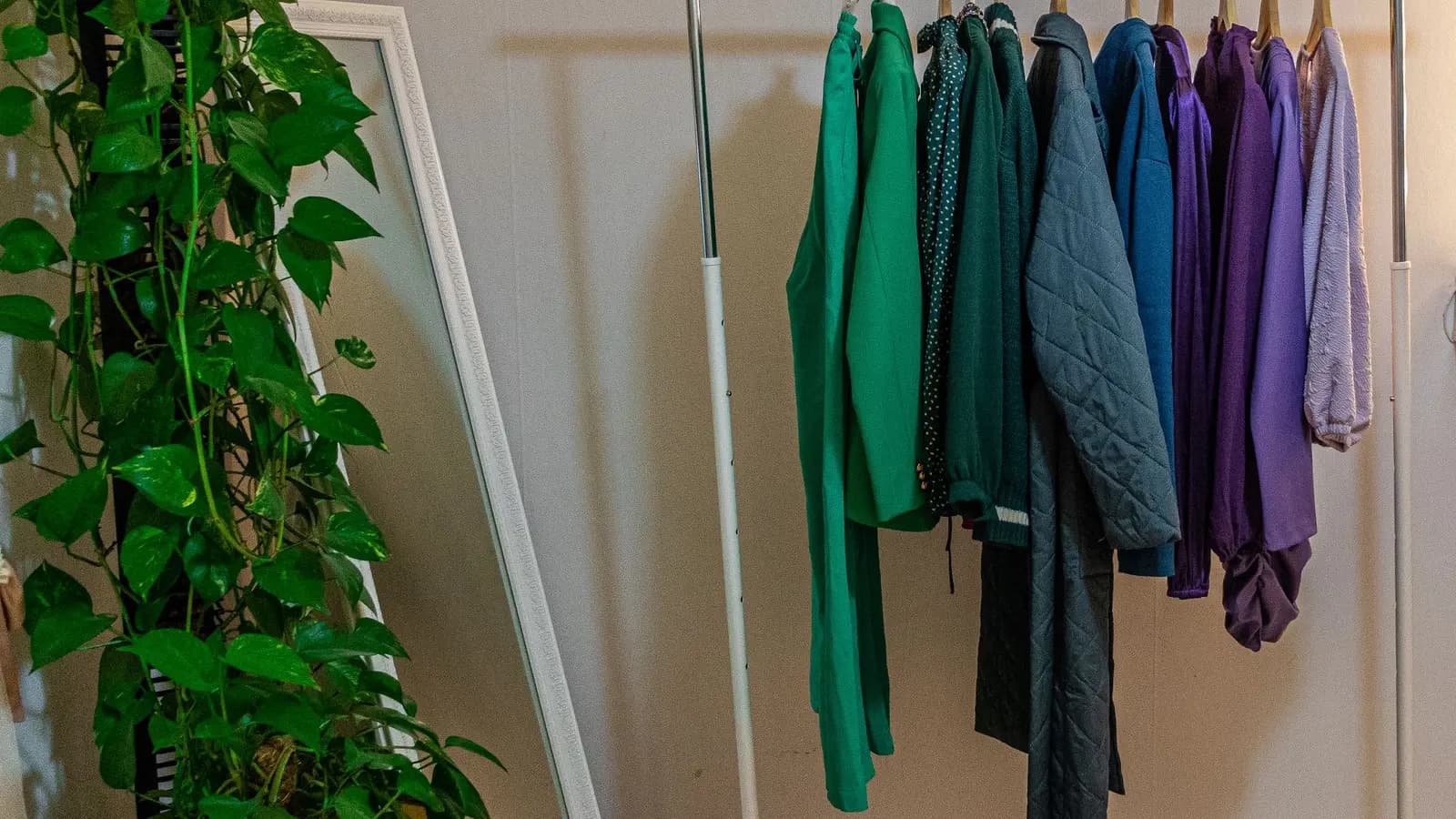 Kleiderstange mit bunten Kleidungsstücken neben einer Zimmerpflanze