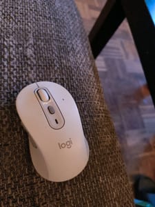 maus