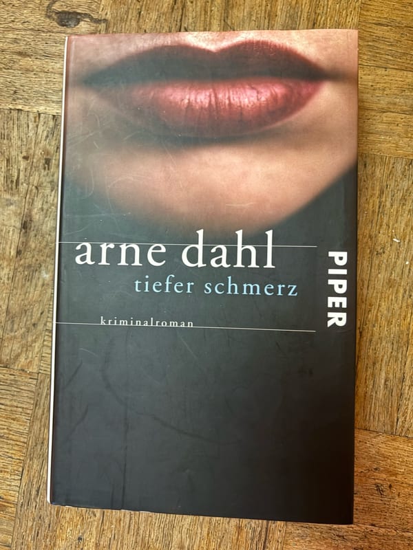 Tiefer Schmerz – Arne Dahl — Bild 1 von 2