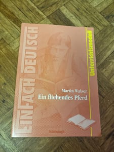 Ein fliehendes Pferd – Martin Walser