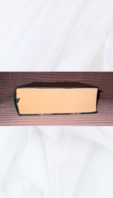 Tintenblut | Cornelia Funke | Hardcover — Bild 6 von 10