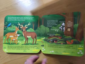 Aus klein wird groß – Pappbilderbuch mit Klappen — Bild 6 von 8 anzeigen