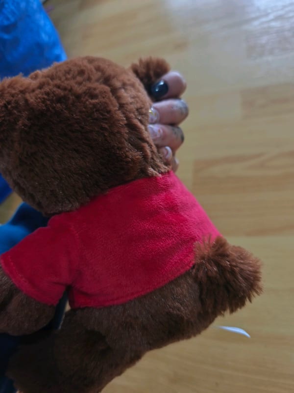 Plüsch-Teddybär mit rotem Shirt „Danke, dass es Dich gibt!“ – Bild 3 von 3