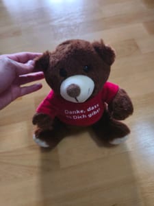 Plüsch-Teddybär mit rotem Shirt „Danke, dass es Dich gibt!“