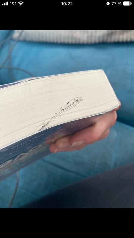 Snow in Love – Maddie Sage – Roman, Buch – Bild 3 von 5