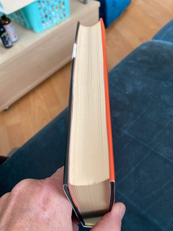 Die Kameliendame – Alexander Dumas – Roman, Buch – Bild 3 von 3