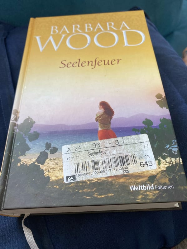Seelenfeuer – Barbara Wood, Buch