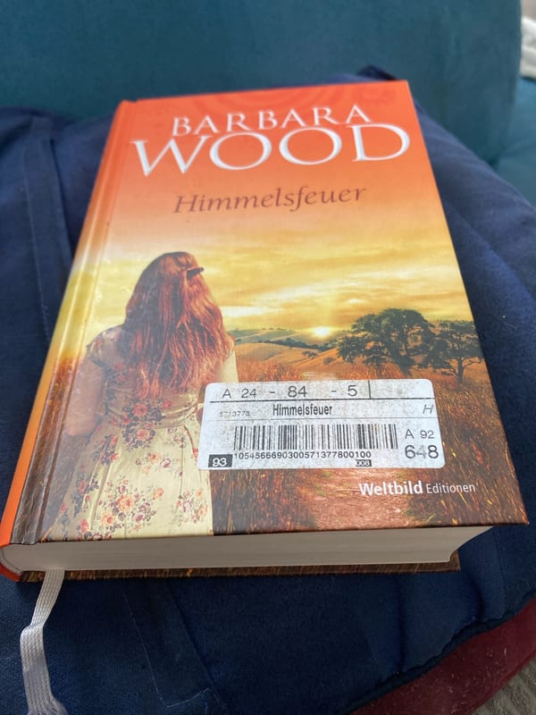 Himmelsfeuer – Barbara Wood, Buch