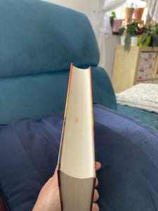 Himmelsfeuer – Barbara Wood, Buch – Bild 4 von 5