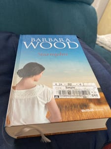 Sturmjahre – Barbara Wood, Buch