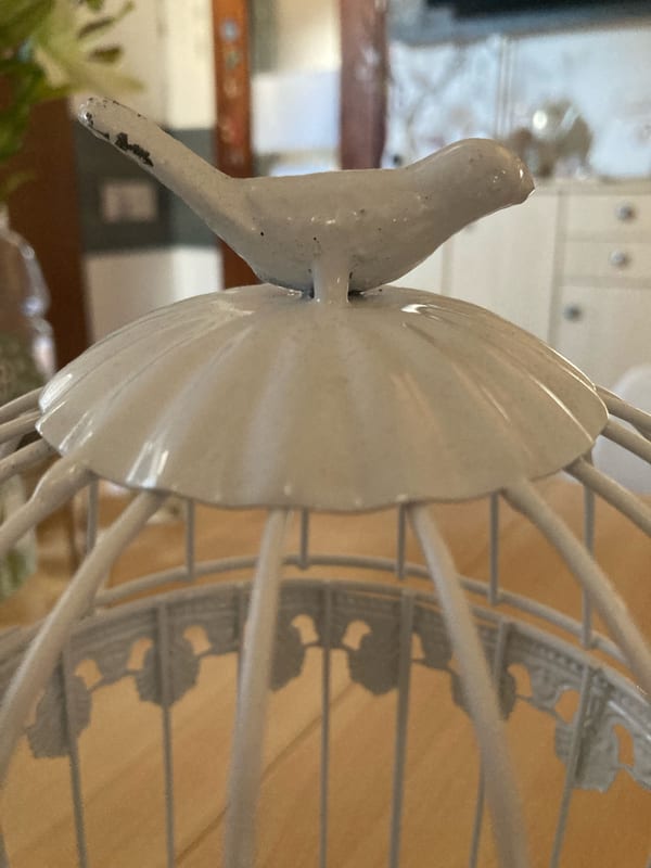 Dekorativer weißer Vogelkäfig mit Vogel auf dem Dach