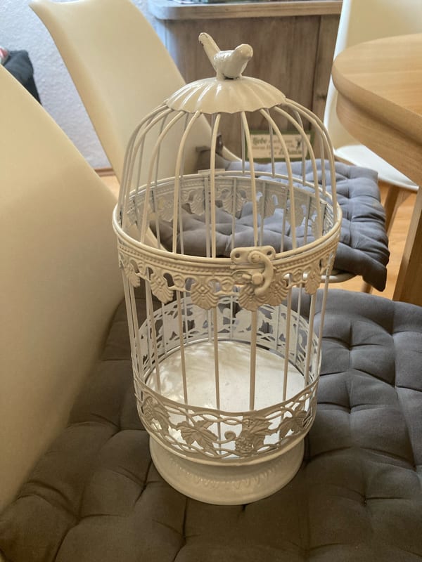 Dekorativer weißer Vogelkäfig mit Vogel auf dem Dach – Bild 3 von 3